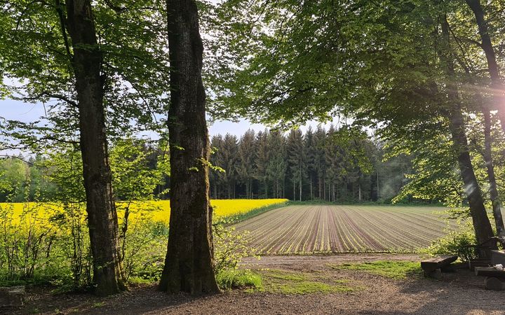 Einladung Ortsbürgergemeindeversammlung, 16. Juni 2023, 19.30 Uhr, Waldhütte Schönert