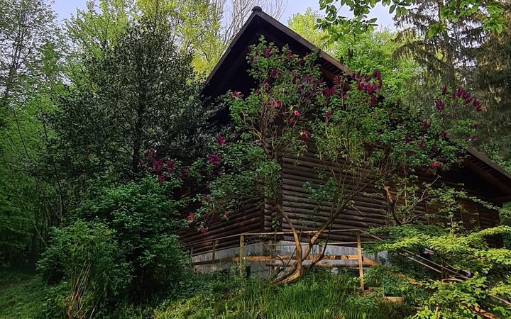Ortsbürgergemeinde vermietet Waldhütte – bis zu einem Jahr im Voraus buchbar
