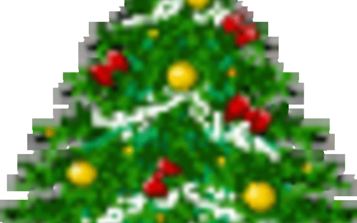 Abgabe der Weihnachtsbäume am 22. Dezember 2012